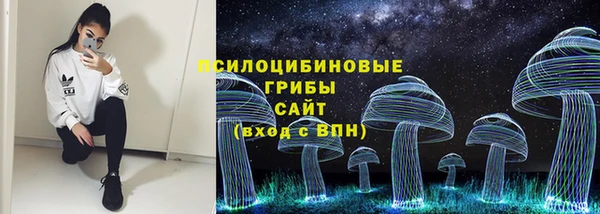 гидропоника Алзамай